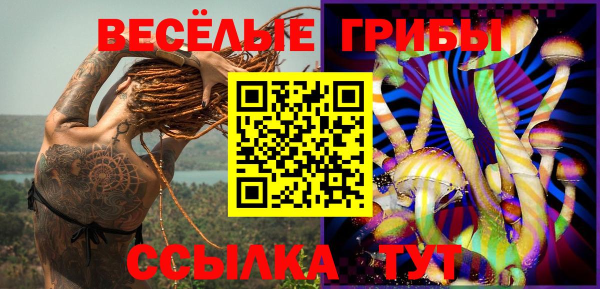 Псилоцибиновые грибы GOLDEN TEACHER  Вход с VPN  Южно-Сахалинск 